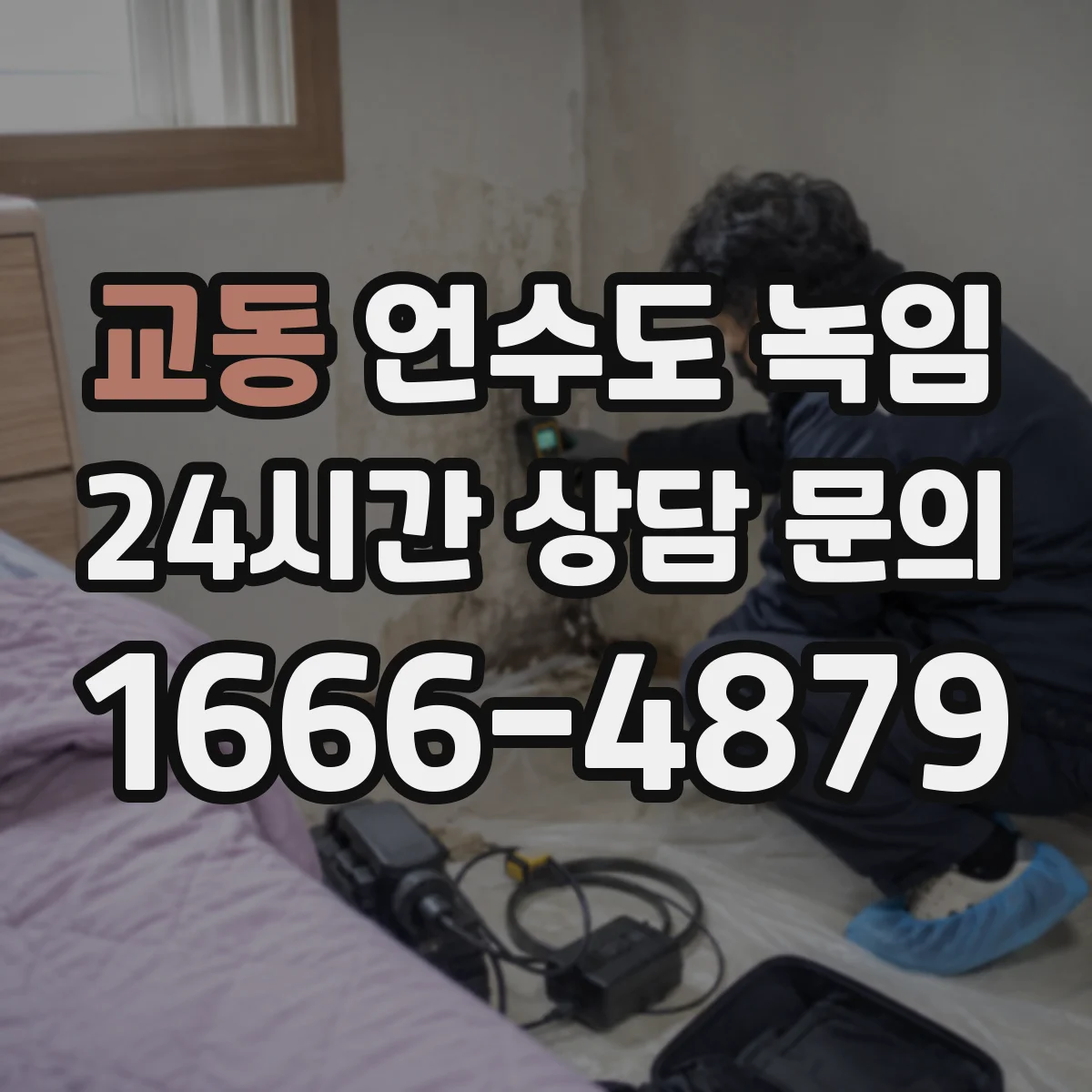 교동 언수도 녹임