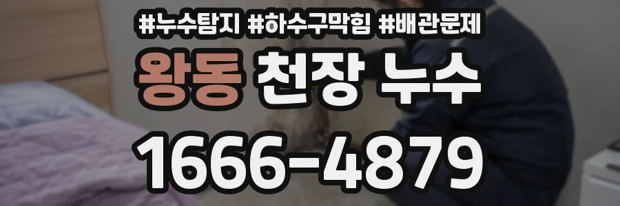 왕동 천장 누수