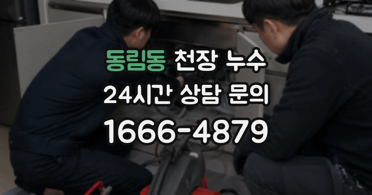 동림동 천장 누수