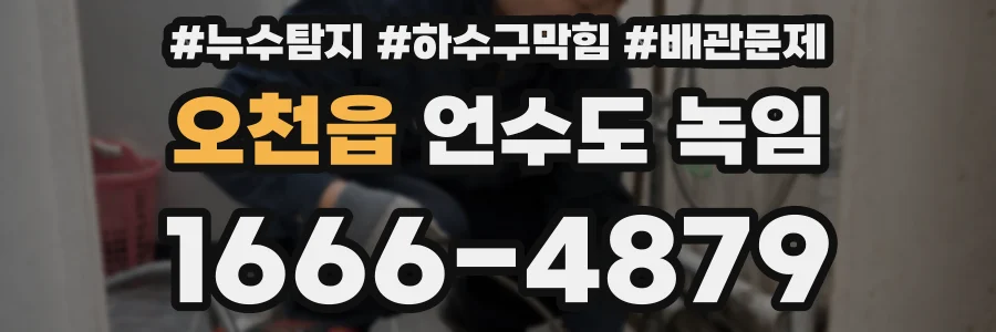 오천읍 언수도 녹임
