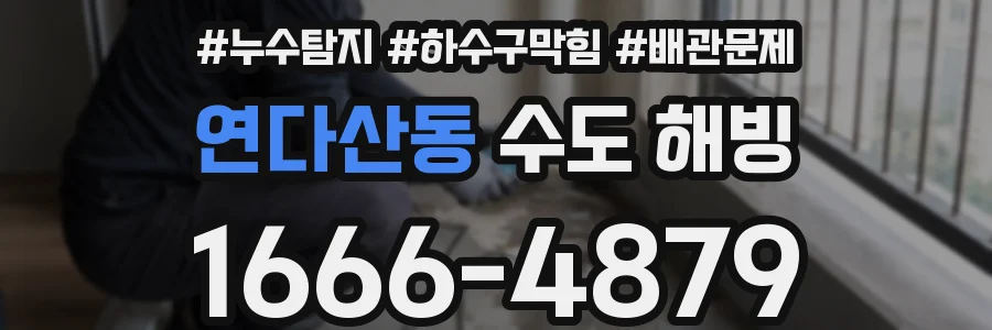연다산동 수도 해빙