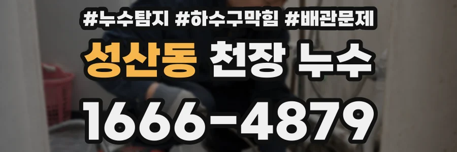 성산동 천장 누수