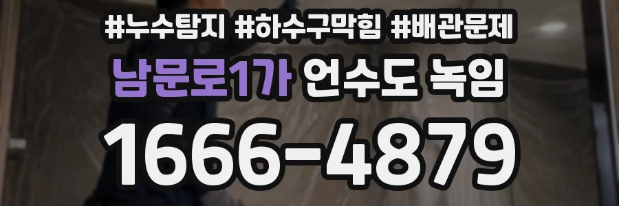 남문로1가 언수도 녹임