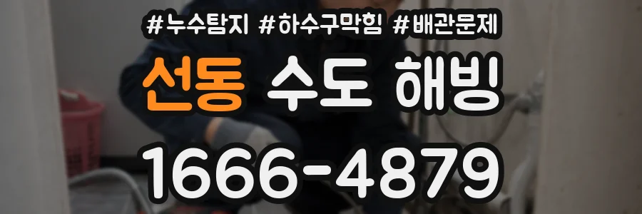 선동 수도 해빙