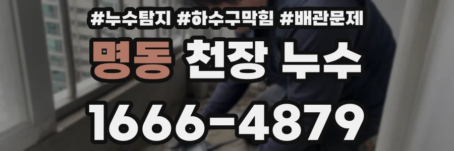 명동 천장 누수