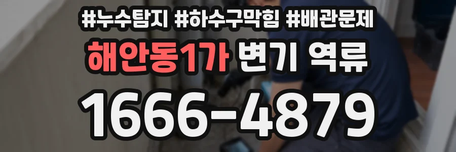 해안동1가 변기 역류