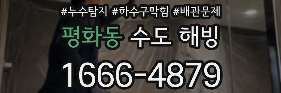 평화동 수도 해빙
