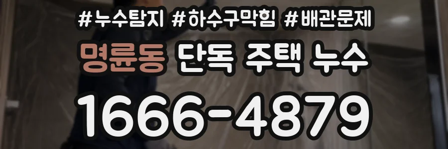 명륜동 단독 주택 누수