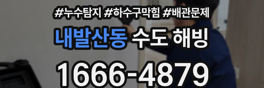 내발산동 수도 해빙