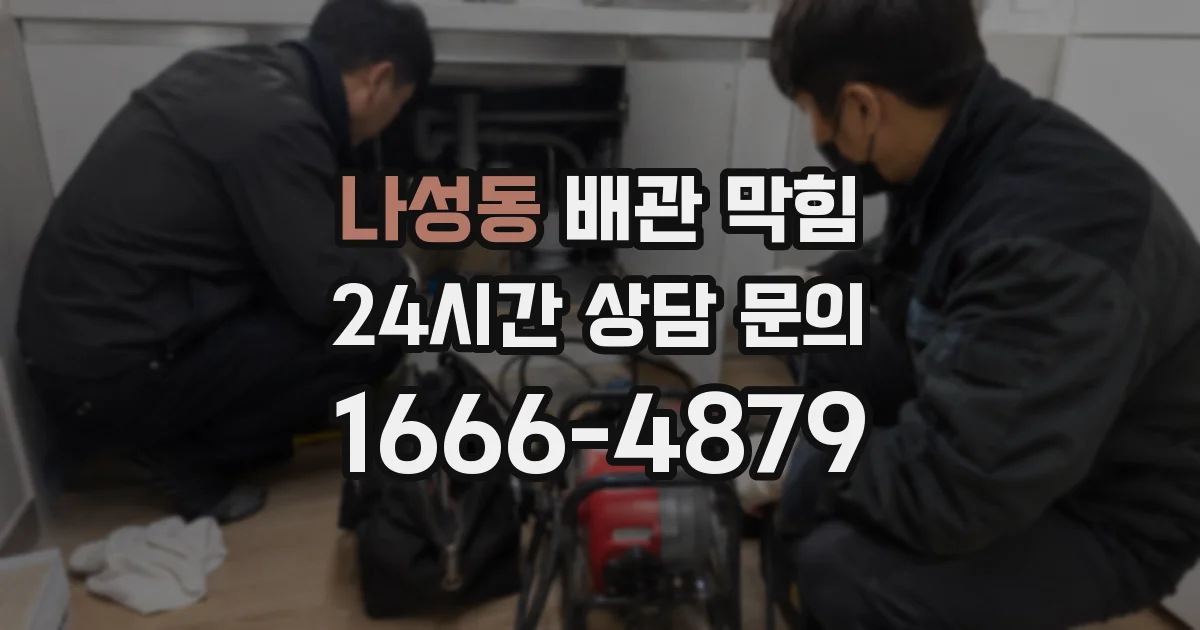 나성동 배관 막힘