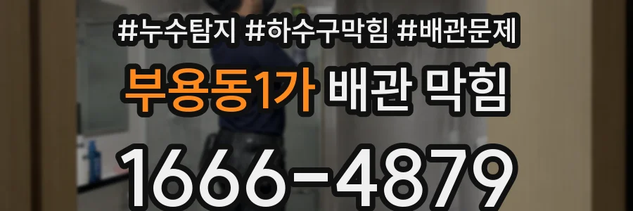 부용동1가 배관 막힘