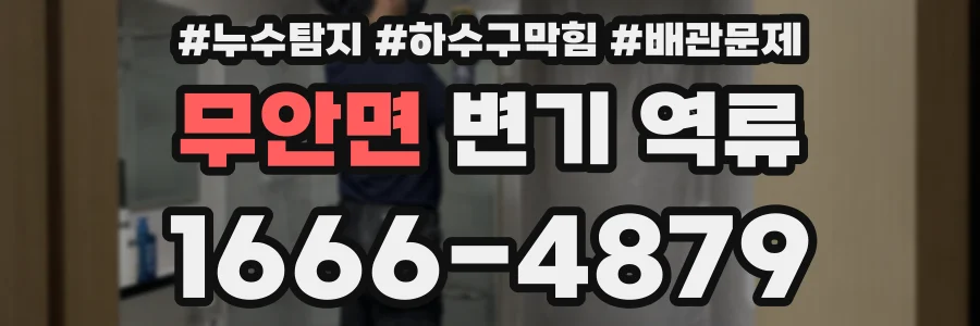 무안면 변기 역류