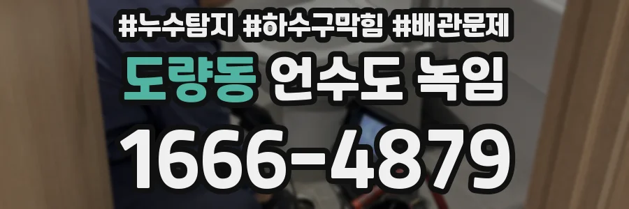 도량동 언수도 녹임