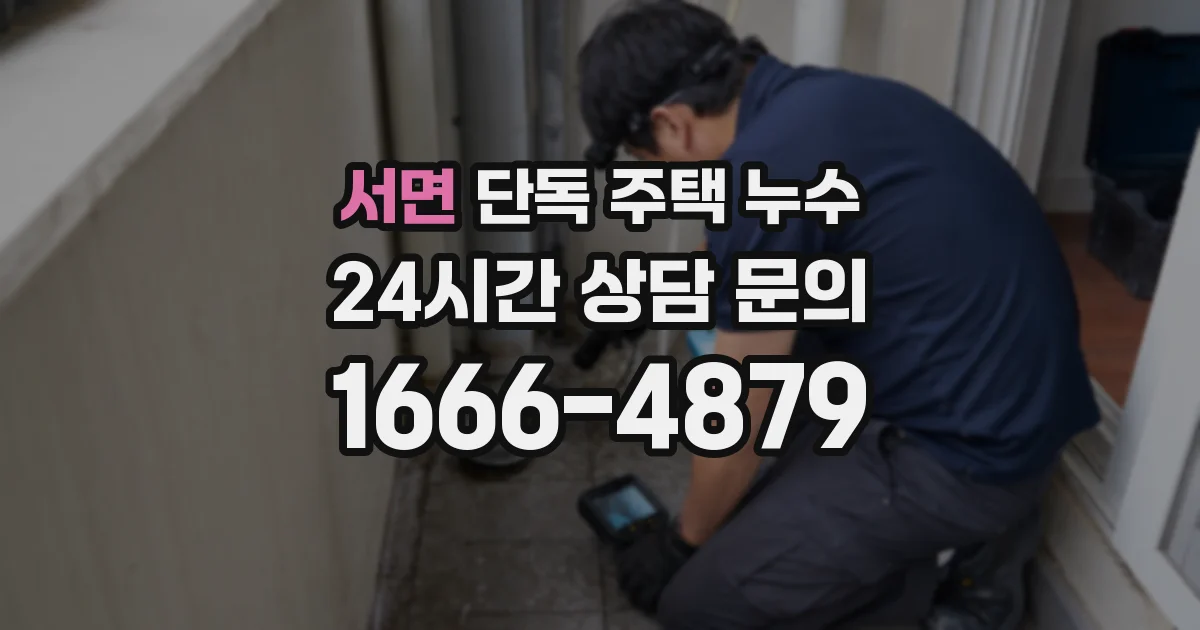 서면 단독 주택 누수