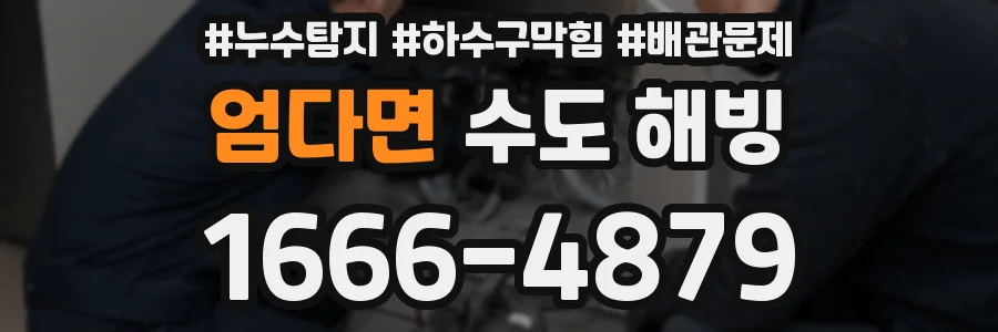엄다면 수도 해빙