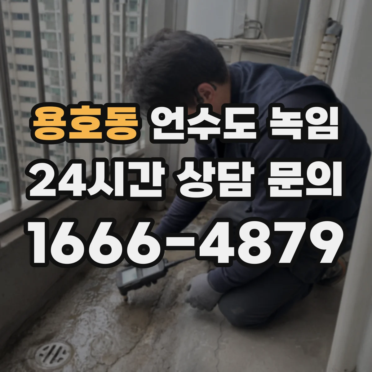 용호동 언수도 녹임