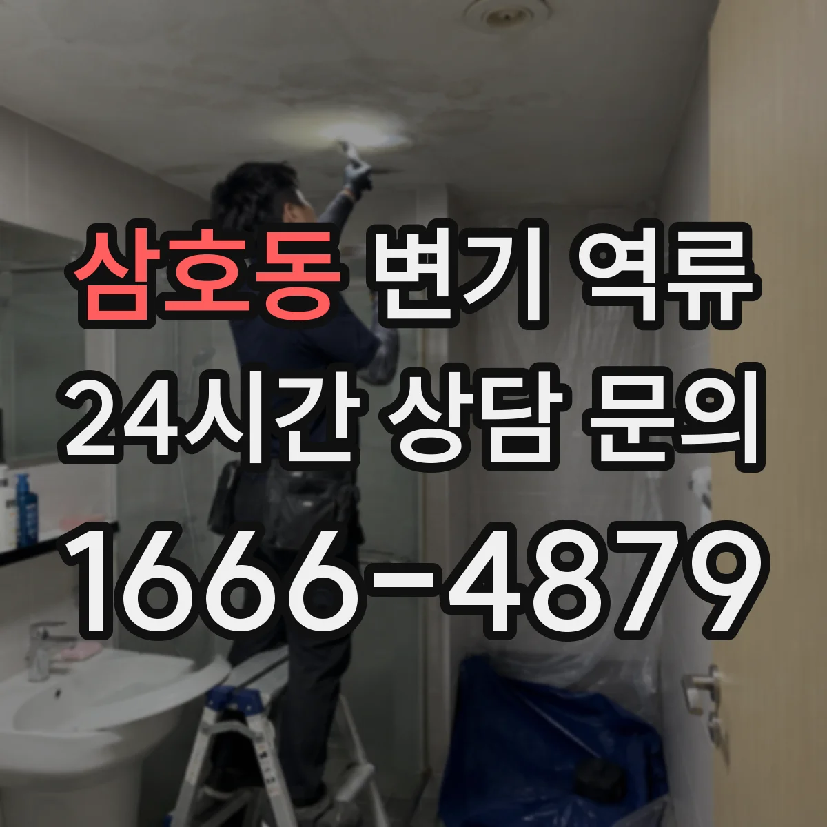 삼호동 변기 역류