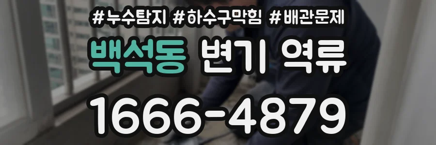백석동 변기 역류