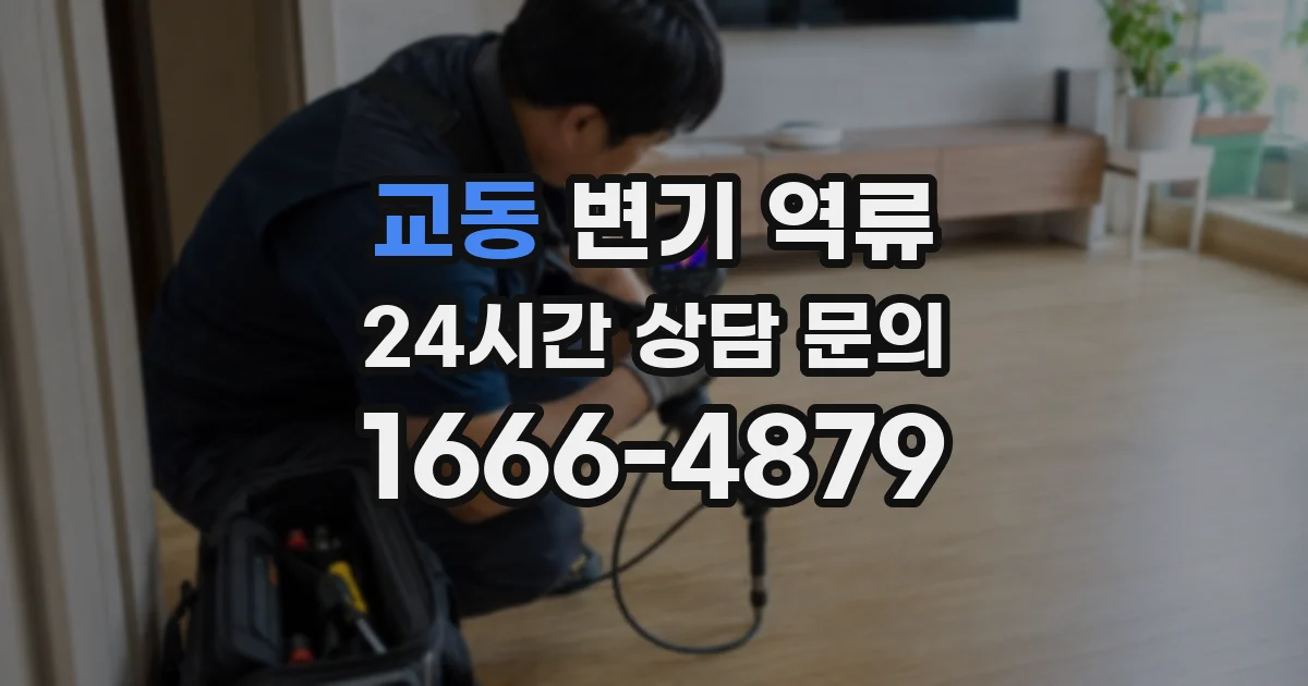 교동 변기 역류