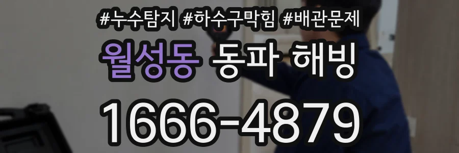 월성동 동파 해빙