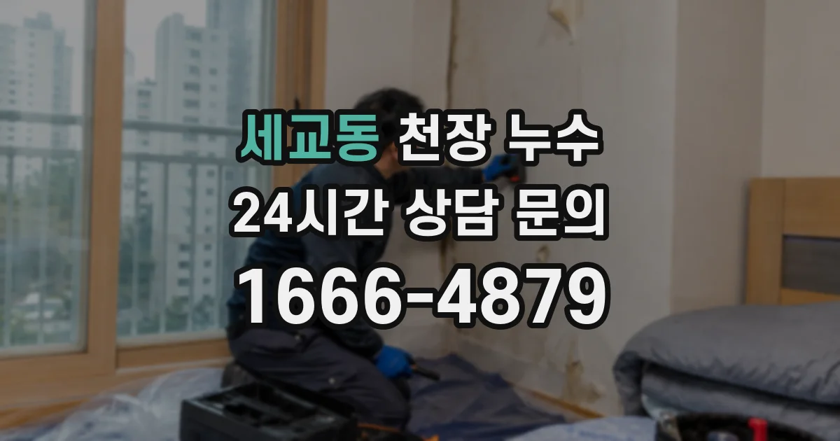 세교동 천장 누수