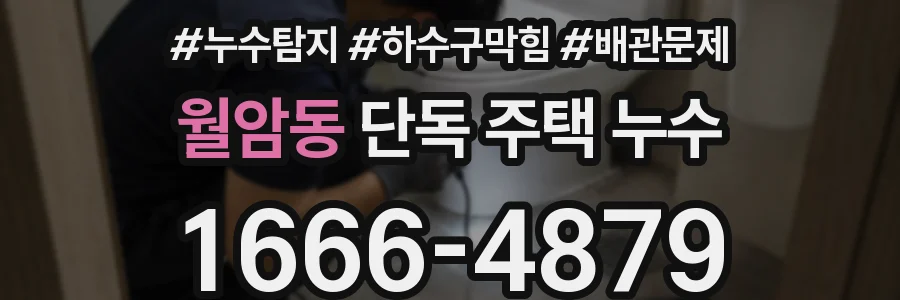 월암동 단독 주택 누수