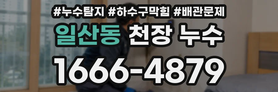 일산동 천장 누수