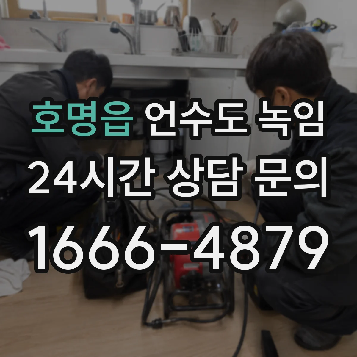 호명읍 언수도 녹임