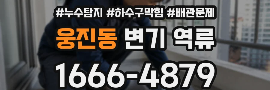 웅진동 변기 역류