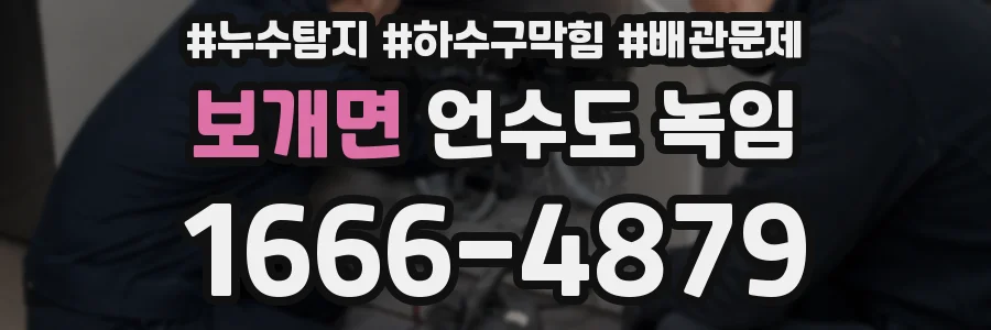 보개면 언수도 녹임