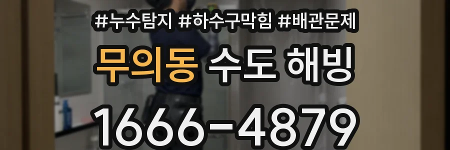 무의동 수도 해빙