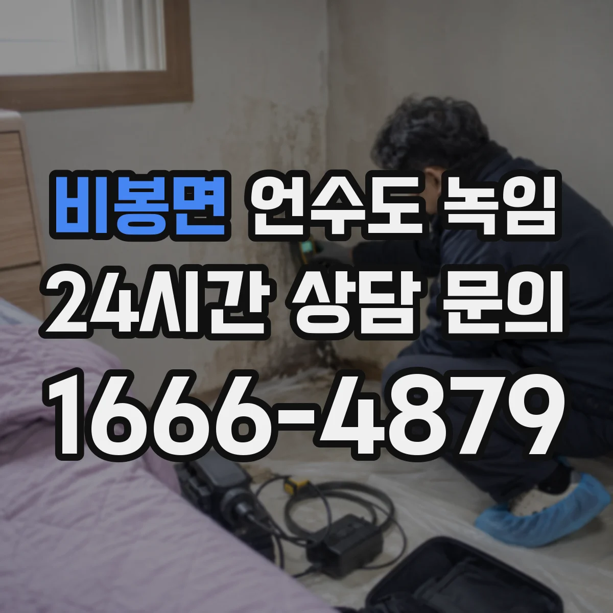 비봉면 언수도 녹임