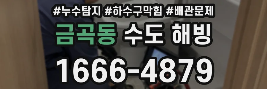 금곡동 수도 해빙