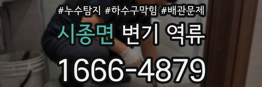 시종면 변기 역류