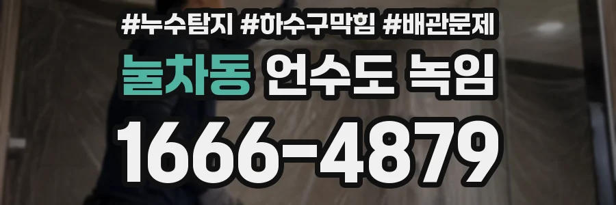 눌차동 언수도 녹임