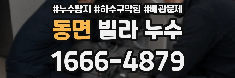 동면 빌라 누수