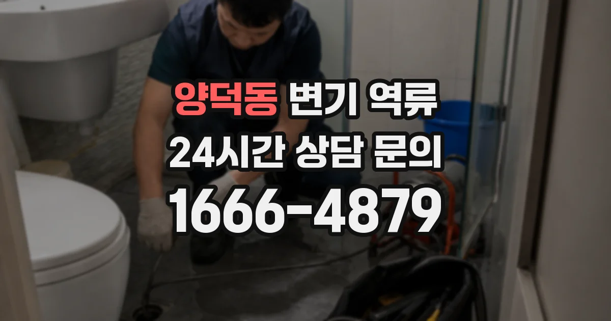 양덕동 변기 역류