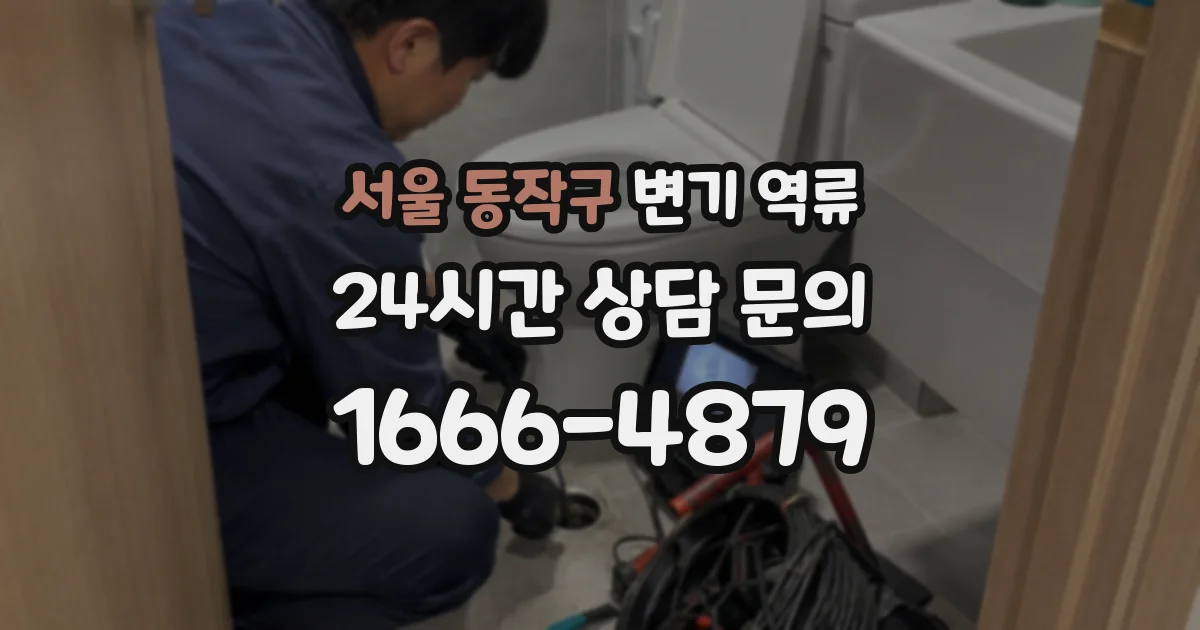 서울 동작구 변기 역류