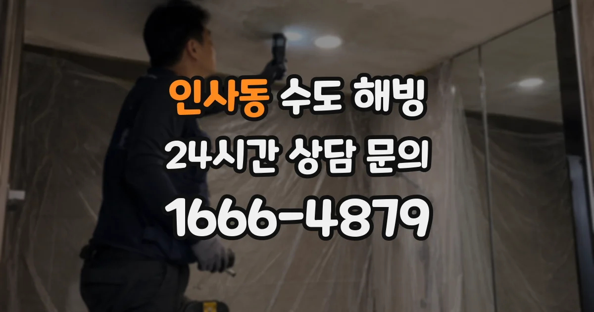인사동 수도 해빙