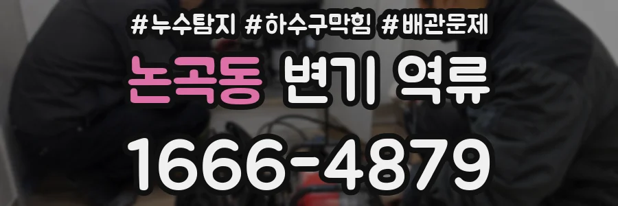 논곡동 변기 역류