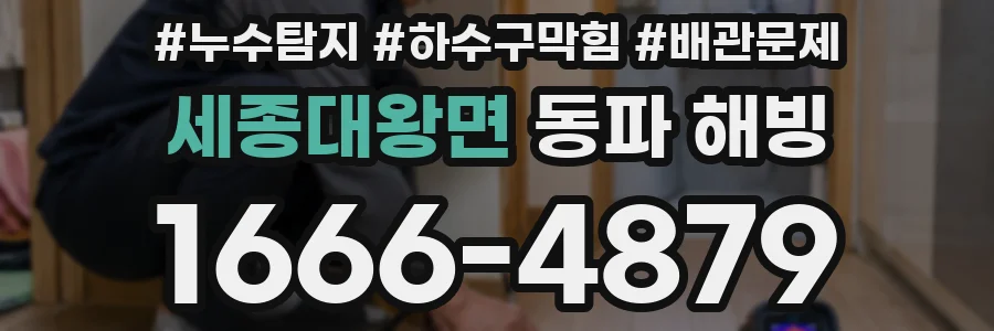 세종대왕면 동파 해빙