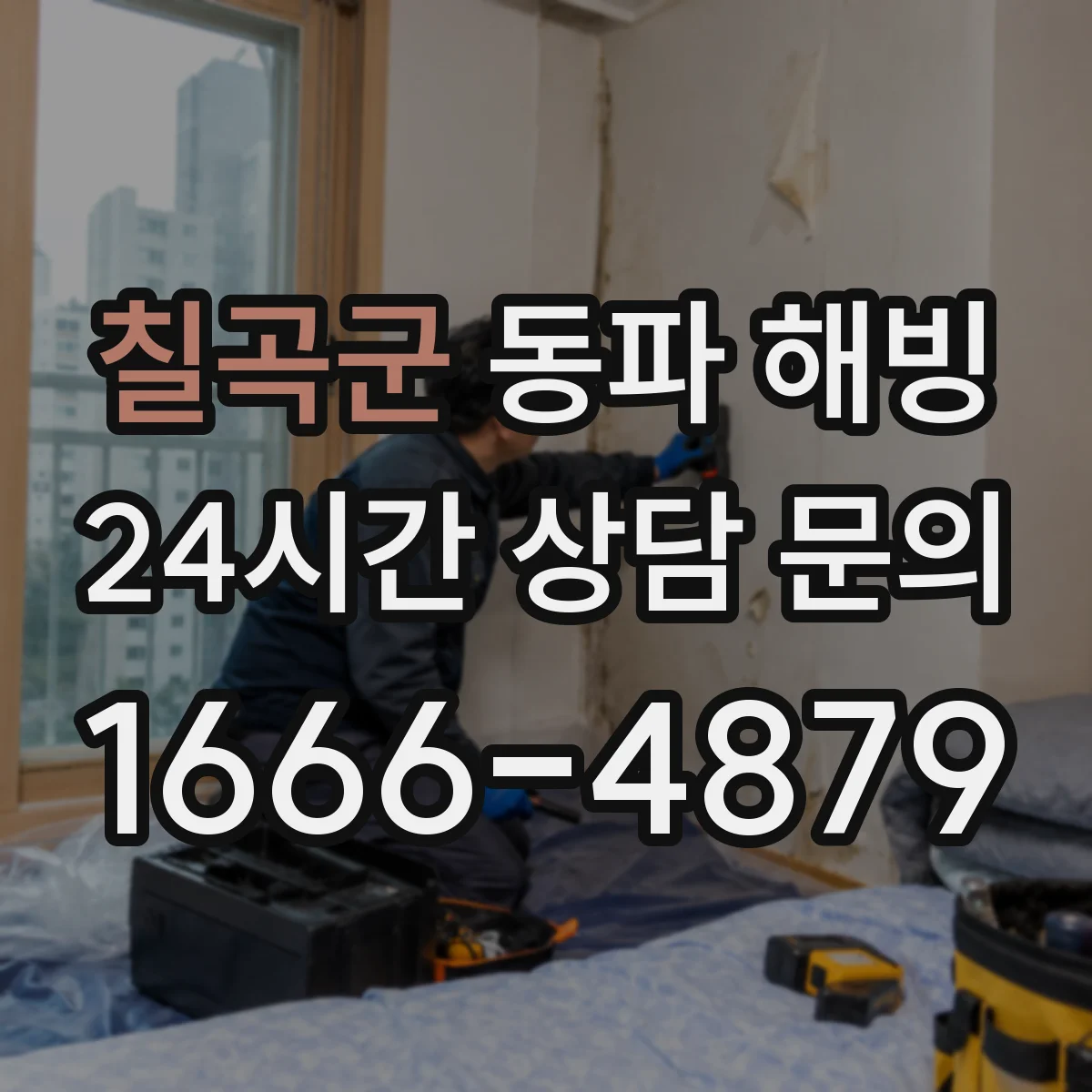 칠곡군 동파 해빙