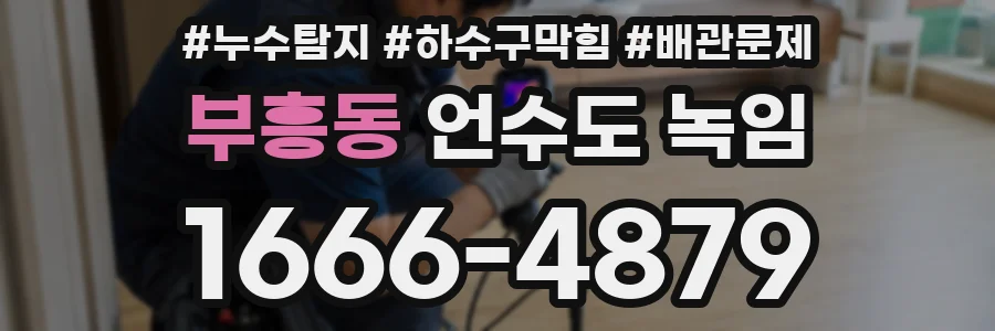 부흥동 언수도 녹임