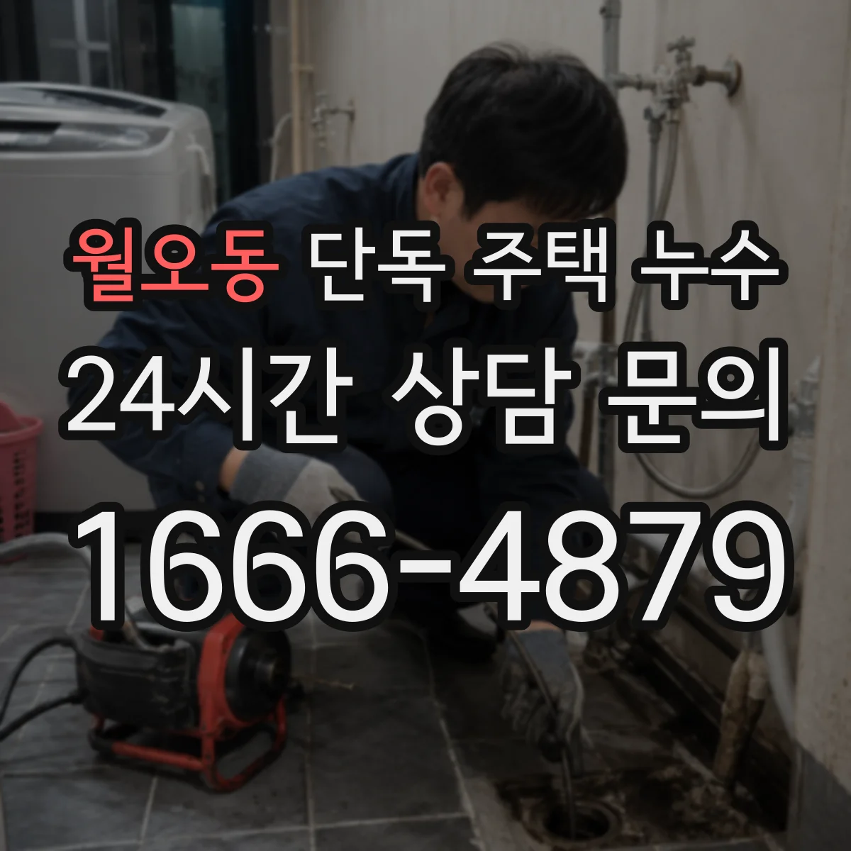 월오동 단독 주택 누수