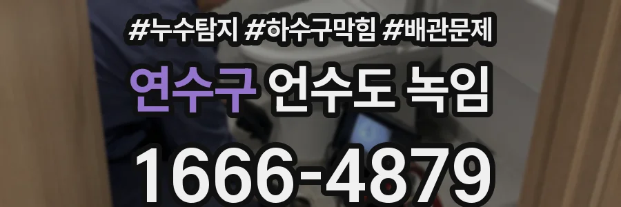 연수구 언수도 녹임