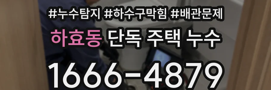 하효동 단독 주택 누수