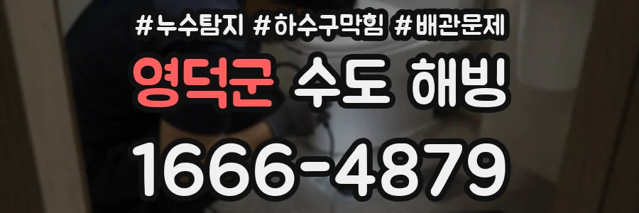 영덕군 수도 해빙