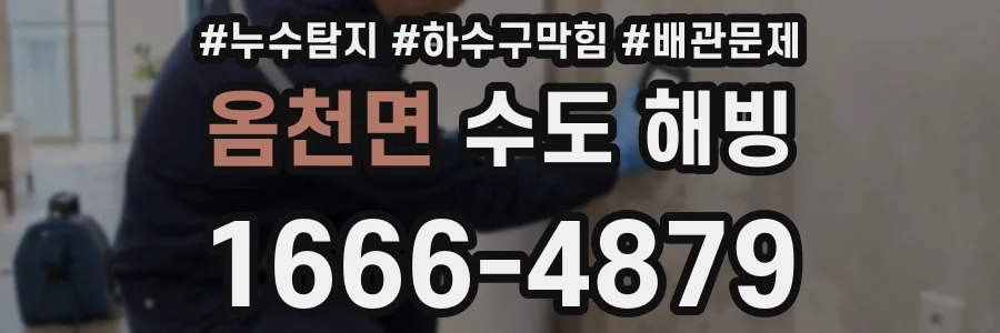 옴천면 수도 해빙