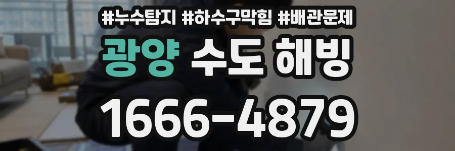 광양 수도 해빙
