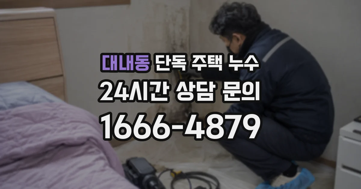대내동 단독 주택 누수